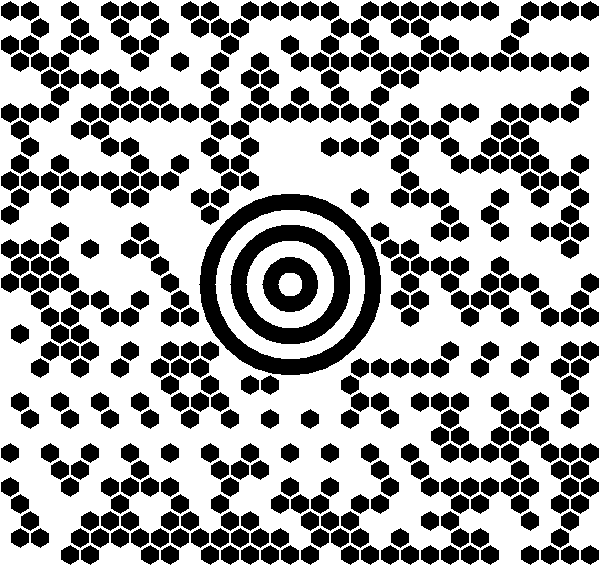 maxicode