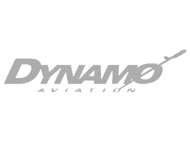 img-dynamo-customer.png